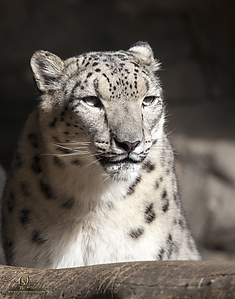 26_Zoo_PH19_IMG_7466.jpg