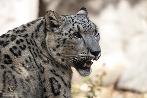 27_Zoo_PH19_IMG_7469.jpg