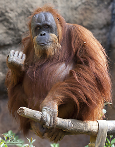 44_Zoo_PH19_IMG_7558.jpg