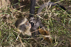 59_Zoo_PH19_IMG_7640.jpg
