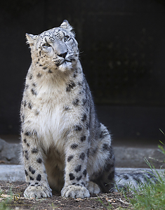 66_Zoo_PH19_IMG_7739.jpg