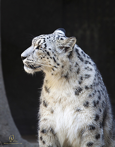 67_Zoo_PH19_IMG_7741.jpg