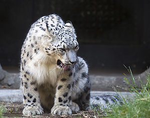 68_Zoo_PH19_IMG_7745.jpg