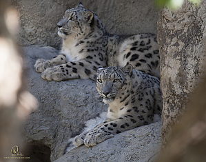 69_Zoo_PH19_IMG_7757.jpg