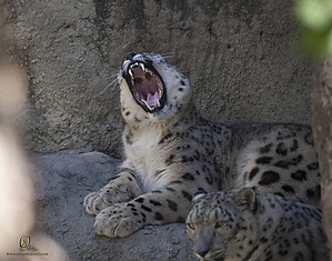 70_Zoo_PH19_IMG_7770.jpg