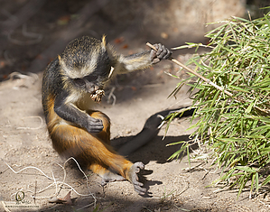 88_Zoo_PH19_IMG_7860.jpg