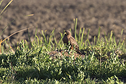 YBW_PH19_IMG_5699.jpg