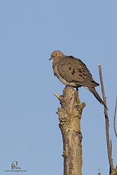 YBW_PH19_IMG_5781.jpg