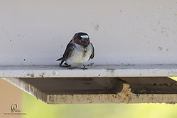 YBW_PH19_IMG_5786.jpg