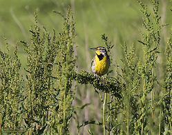 YBW_PH19_IMG_5828.jpg