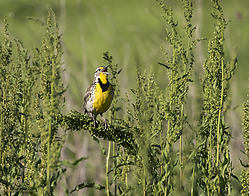 YBW_PH19_IMG_5833.jpg
