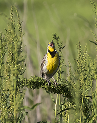 YBW_PH19_IMG_5837.jpg