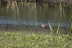 YBW_PH19_IMG_5848.jpg