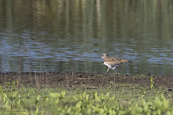 YBW_PH19_IMG_5853.jpg