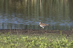 YBW_PH19_IMG_5854.jpg