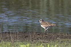 YBW_PH19_IMG_5855.jpg