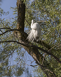 YBW_PH19_IMG_5955.jpg