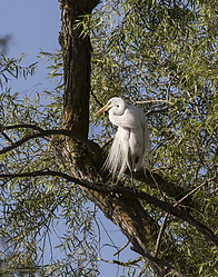 YBW_PH19_IMG_5961.jpg