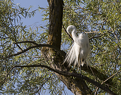 YBW_PH19_IMG_5993.jpg