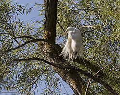 YBW_PH19_IMG_5996.jpg