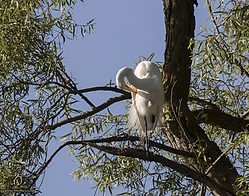 YBW_PH19_IMG_6009.jpg