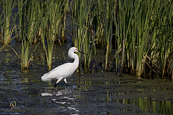 YBW_PH19_IMG_6135.jpg