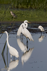 YBW_PH19_IMG_6198.jpg