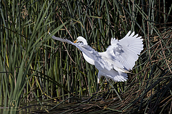 YBW_PH19_IMG_6223.jpg