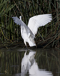 YBW_PH19_IMG_6224.jpg