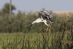 YBW_PH19_IMG_6255.jpg