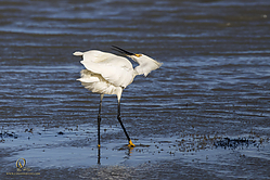 YBW_PH19_IMG_6377.jpg