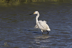 YBW_PH19_IMG_6399.jpg