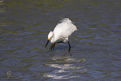 YBW_PH19_IMG_6408.jpg