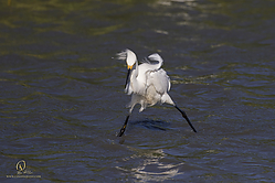 YBW_PH19_IMG_6411.jpg