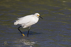 YBW_PH19_IMG_6414.jpg