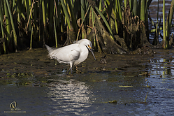 YBW_PH19_IMG_6483.jpg