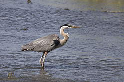 YBW_PH19_IMG_6520.jpg