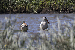 YBW_PH19_IMG_6543.jpg