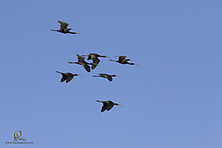 YBW_PH19_IMG_6544.jpg