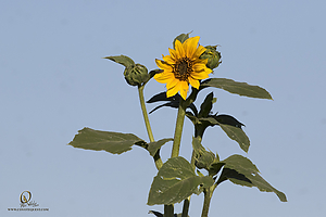 YB_PH19_IMG_6982.jpg