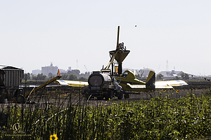 YB_PH19_IMG_7453.jpg