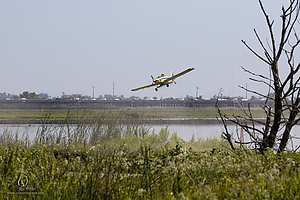 YB_PH19_IMG_7600.jpg
