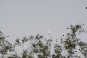 13_YBW_PH19_DSC_3799.jpg