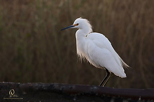 30_YBW_PH19_IMG_0113.jpg