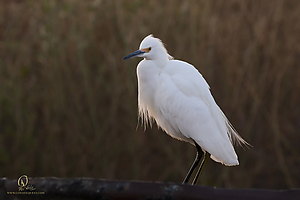 31_YBW_PH19_IMG_0116.jpg