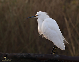 32_YBW_PH19_IMG_0120.jpg