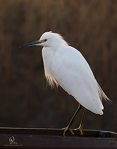 34_YBW_PH19_IMG_0131.jpg