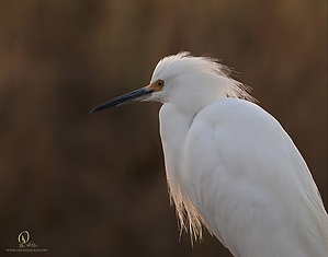 35_YBW_PH19_IMG_0132.jpg