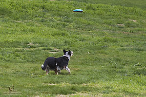 DA_PH20_IMG_4779.jpg