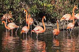 SacZoo_PH20_IMG_4089.jpg